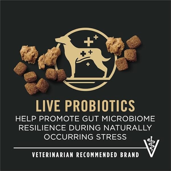 Purina Pro Plan Complete Essentials Shredded Blend Chicken and Rice Dog Food Dry Formula with Probiotics for Dogs -