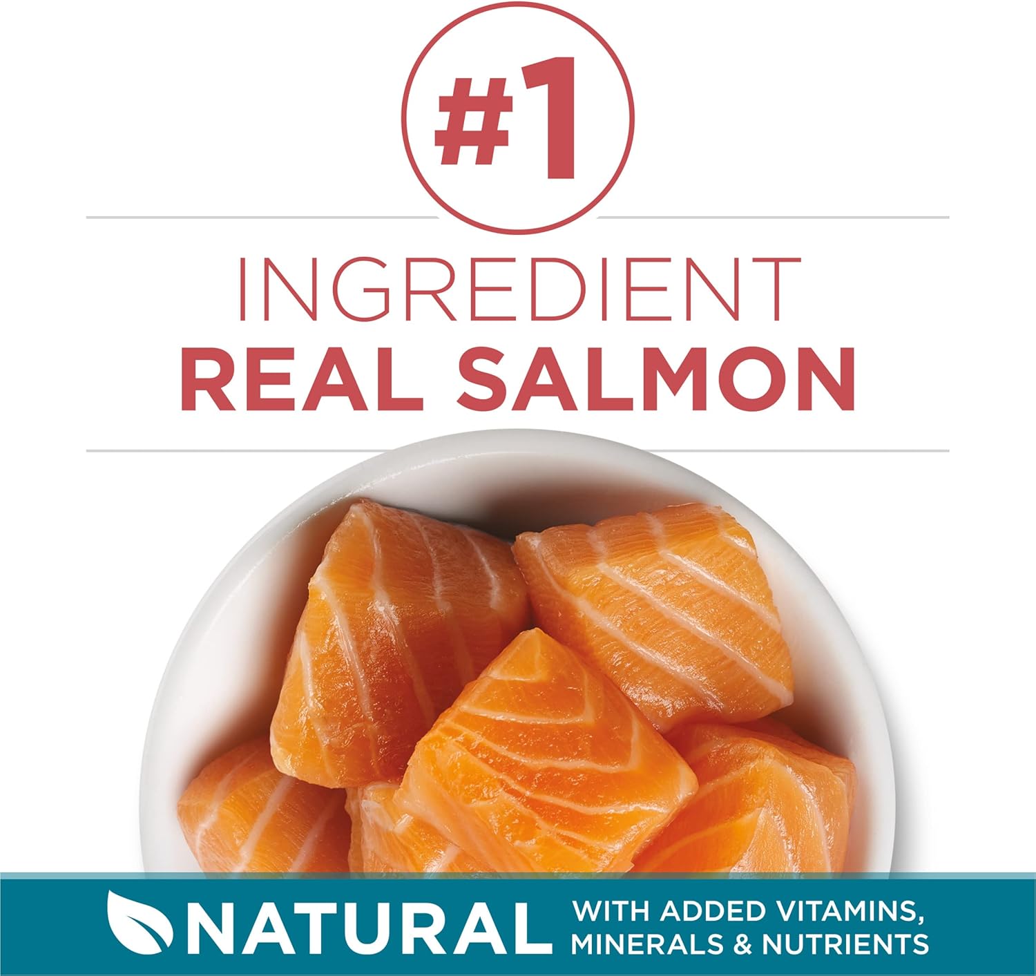 71aGnvCh58L._AC_SL1500_