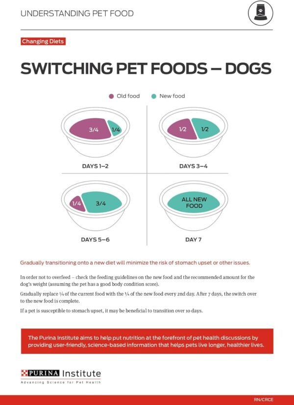 Purina ONE Dry Dog Food