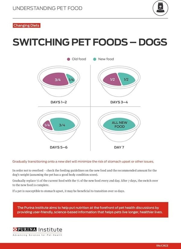 Purina ONE High Protein Natural Dry Dog Food