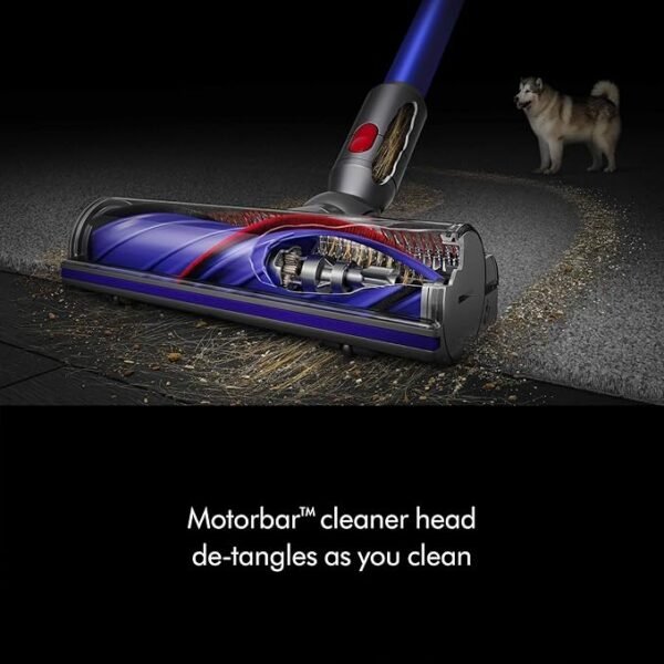 Dyson V11 Origin Cordless Vacuum