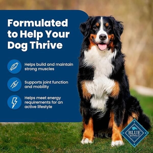 Blue Buffalo Life Protection Formula Adult Dry Dog Food
