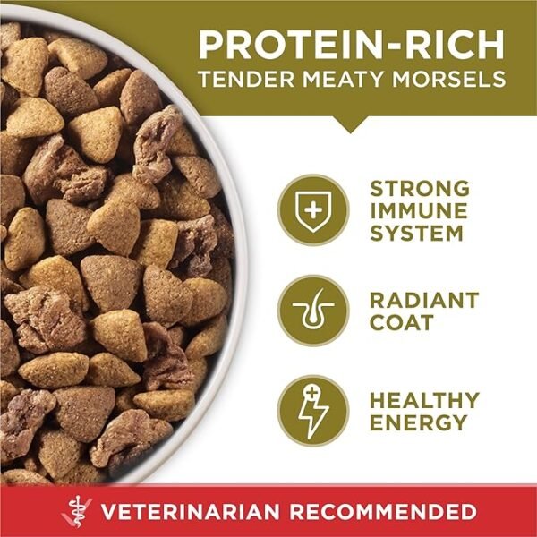 Purina ONE Dry Dog Food