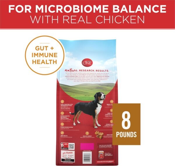 Purina ONE Chicken and Rice Formula Dry Dog Food