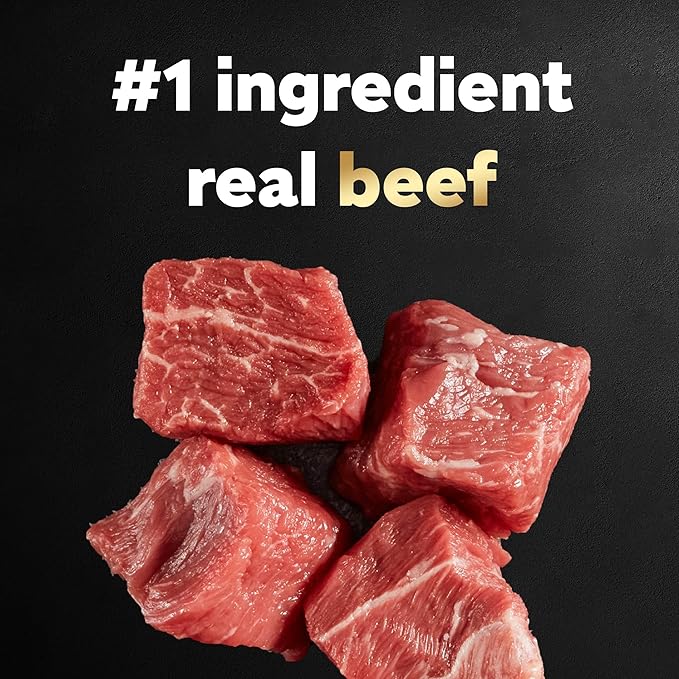 91-wdnICmXL._AC_SX679_