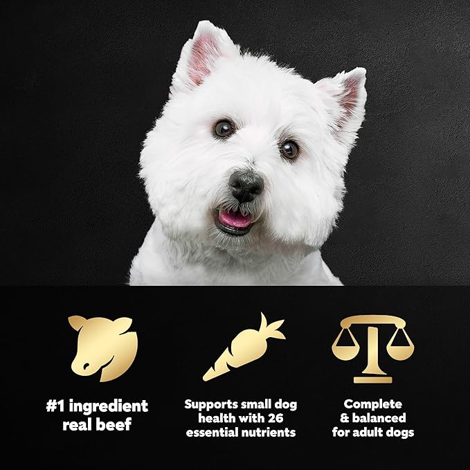 9165uSA2zdL._AC_SX679_